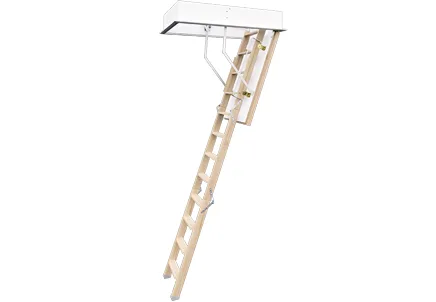Roto Escalier Cadet 3 Norm